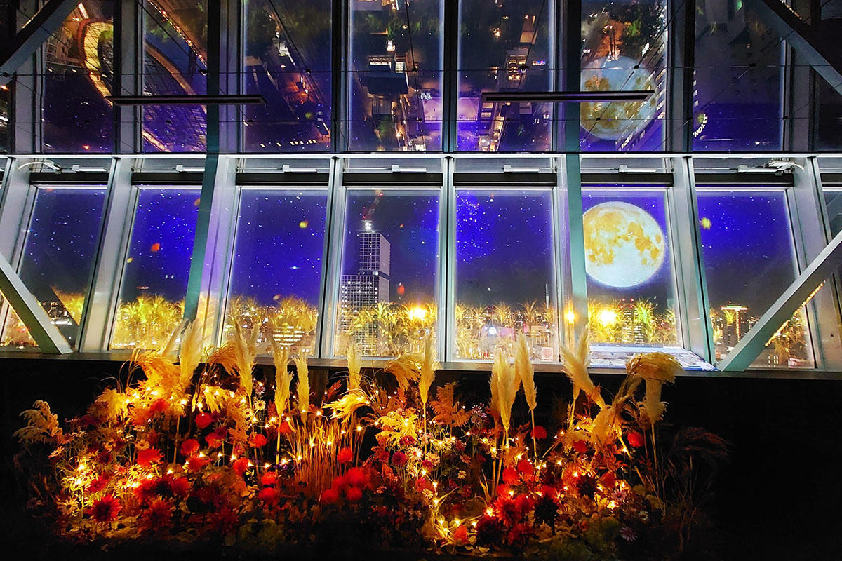 中部電力 MIRAI TOWER 秋を感じる「 NAKED FLOWER TOWER」12月2 中部電力 MIRAI TOWER 秋を感じる「 NAKED FLOWER TOWER」12月2